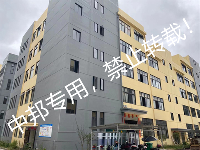 浙江XX工艺品2021年11月顺利通过BSCI验厂，开启工艺美术品销售新篇章